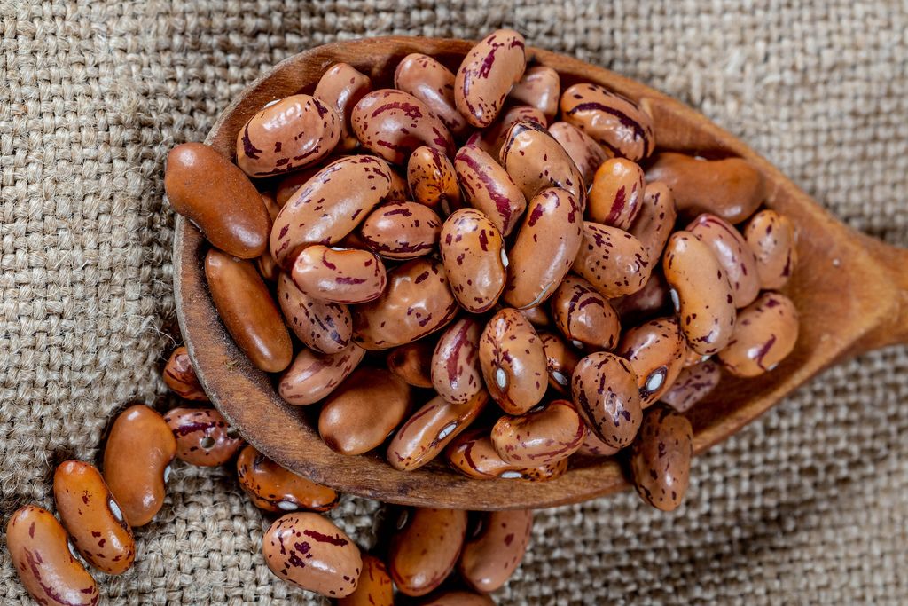Are Brown Beans Fattening