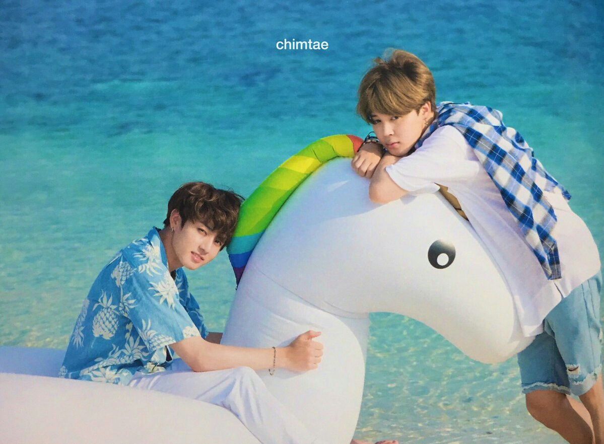 Jungkook and Jimin Unicorn What Are the Pictures