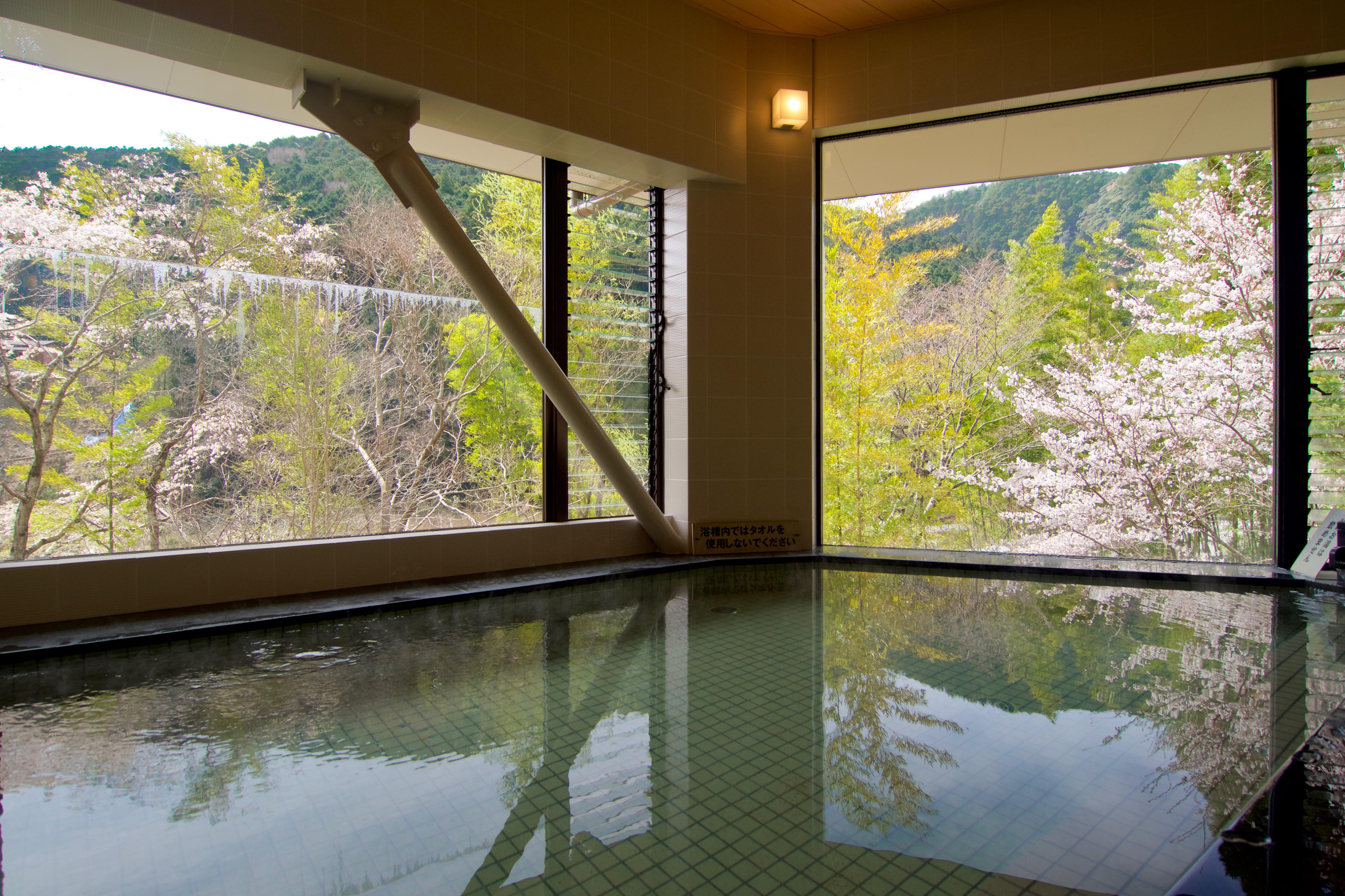 奈良の秘湯・中荘温泉を徹底取材！幻の天然炭酸泉と極上露天の魅力
