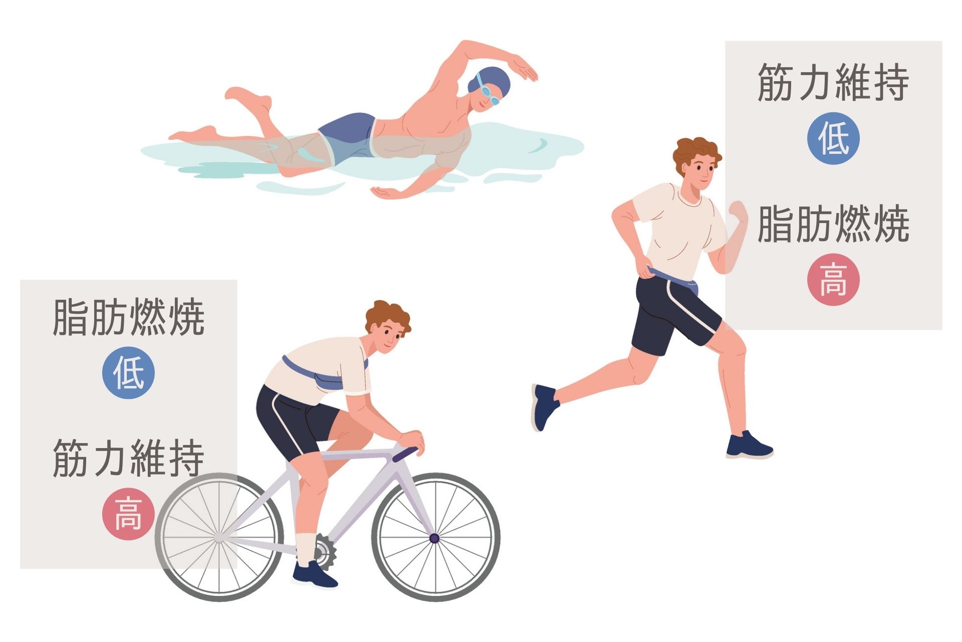 空腹時の有酸素運動は逆効果？脂肪燃焼の真相と筋肉を守るプロの新常識