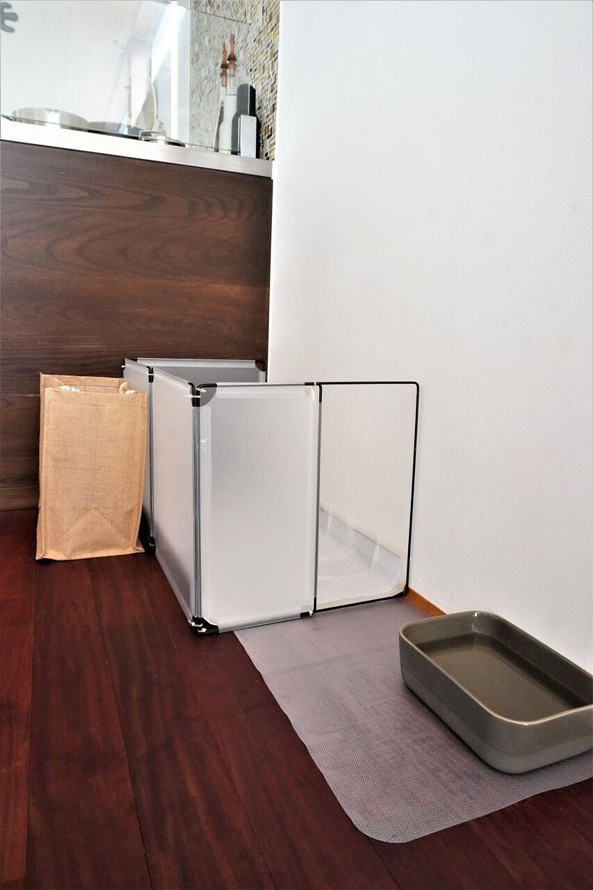 犬のトイレはみ出しは100均で解決！失敗理由と自作ガード最新対策