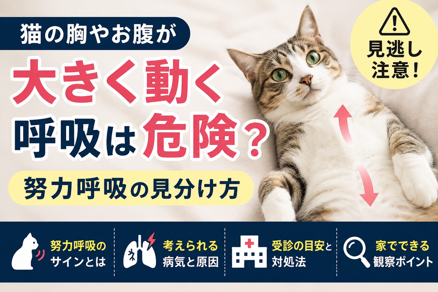 猫の呼吸が荒い・早い原因と正常値｜命を守る見極めと緊急対処法