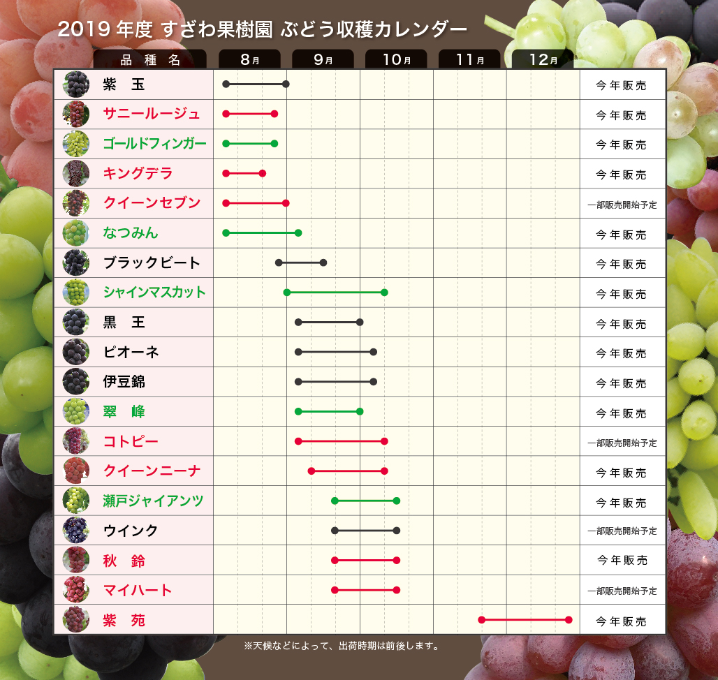 広島・すざわ果樹園の真相！極上ぶどう狩りと直売所の2026年最新事情