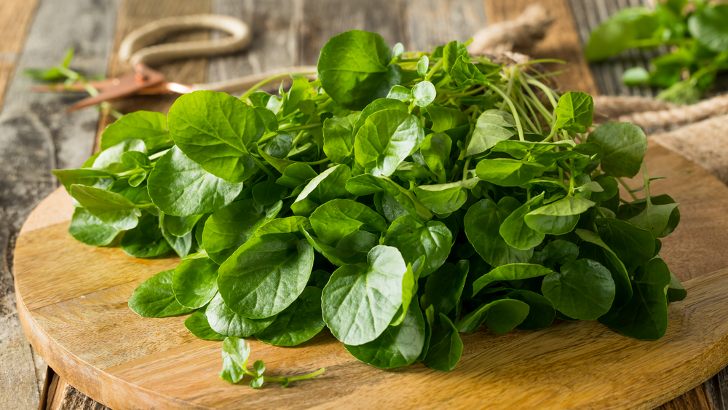 Can I Eat Watercress Raw