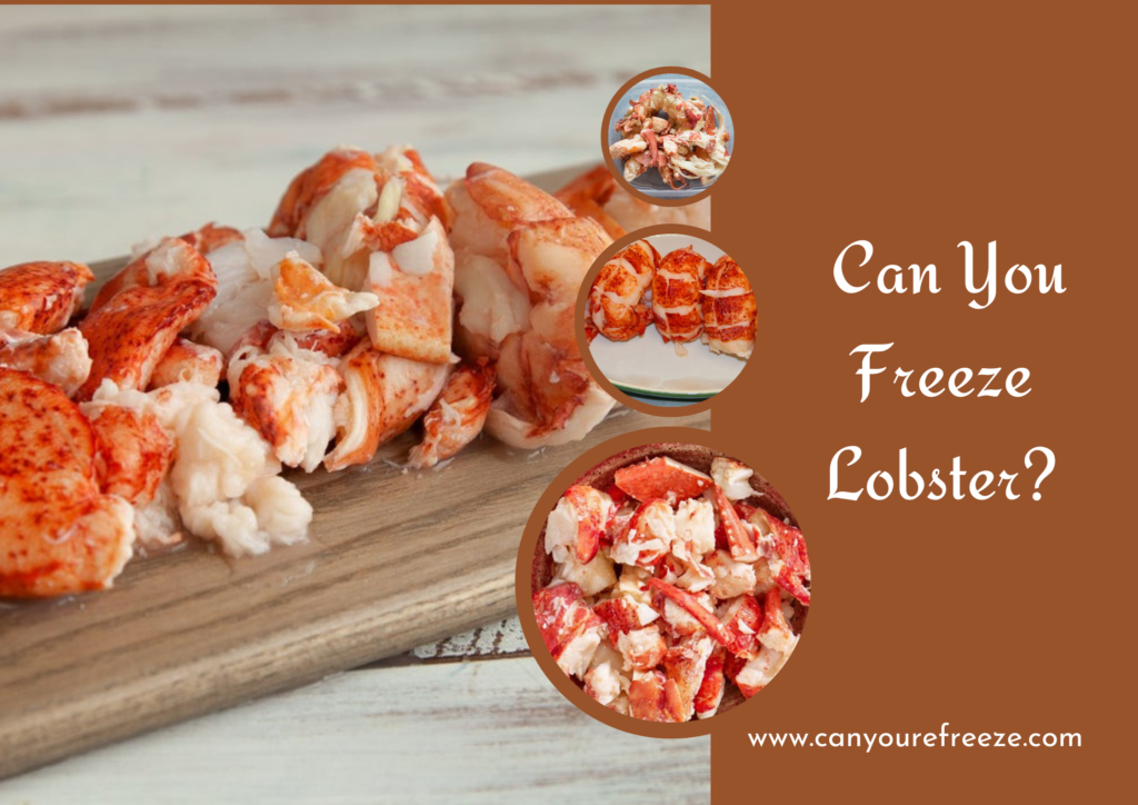 How to Freeze Lobster Meat