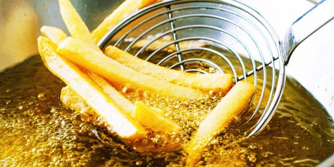 Can You Fry Fries in Canola Oil