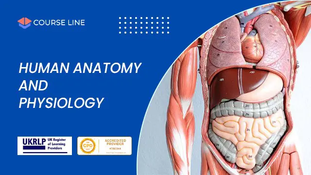 Anatomy and Physiology Class Online Free