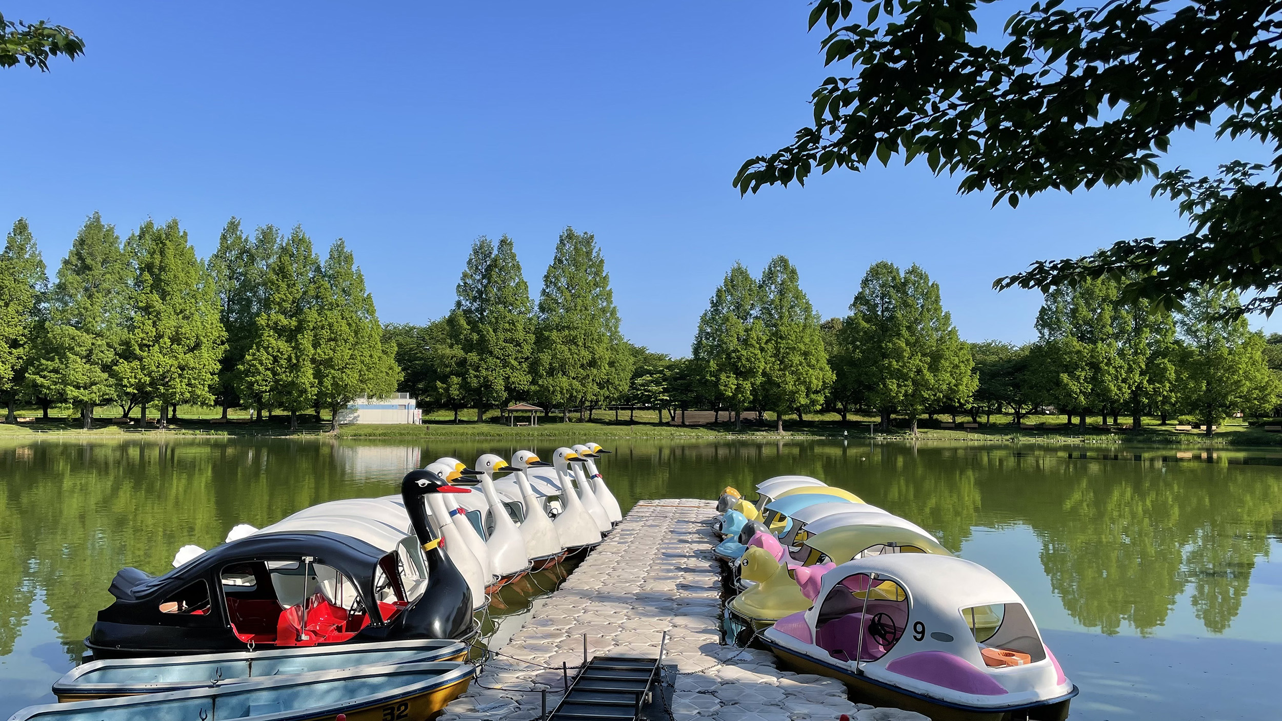 川越水上公園2026最新攻略｜プール料金や釣り場・混雑回避の全貌
