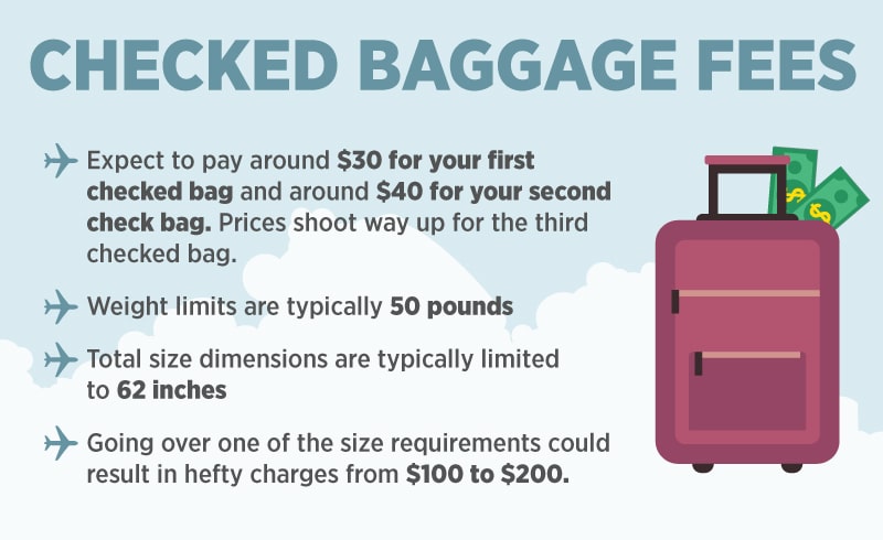 How Much Is a Checked Bag