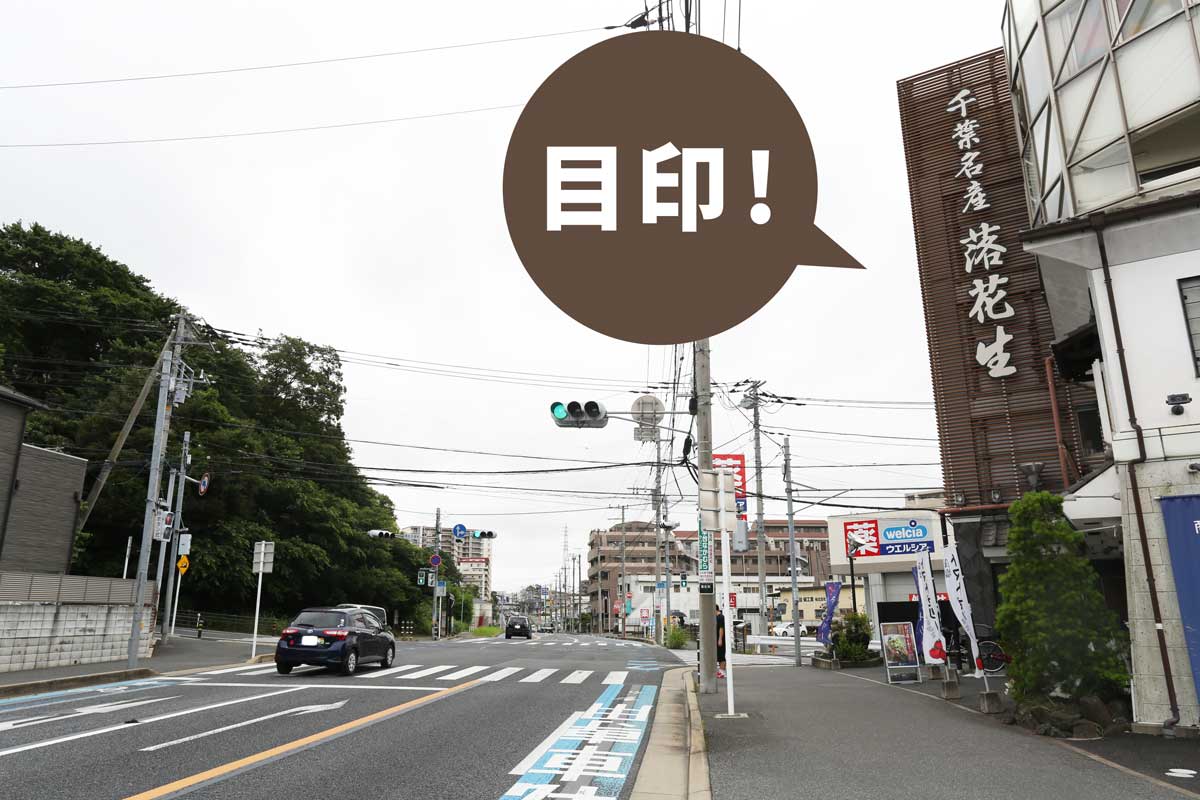 ペットセレモニープレア千葉の実態は？火葬料金や口コミの真相を解剖