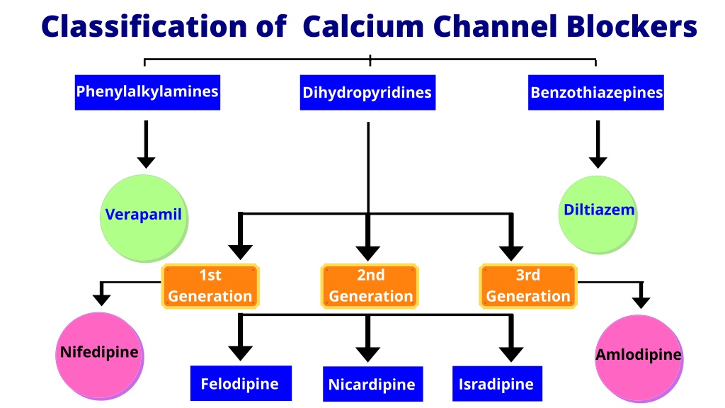 Types Calcium Channel Blockers