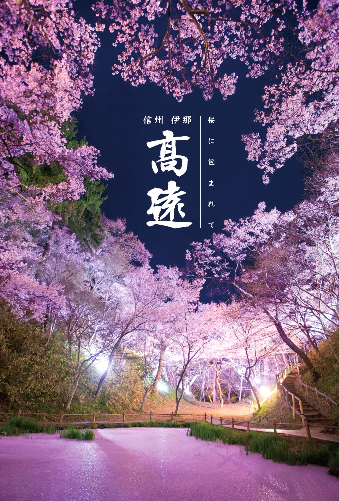天下第一の桜が咲き誇る絶景と歴史の秘話！高遠城址公園完全攻略