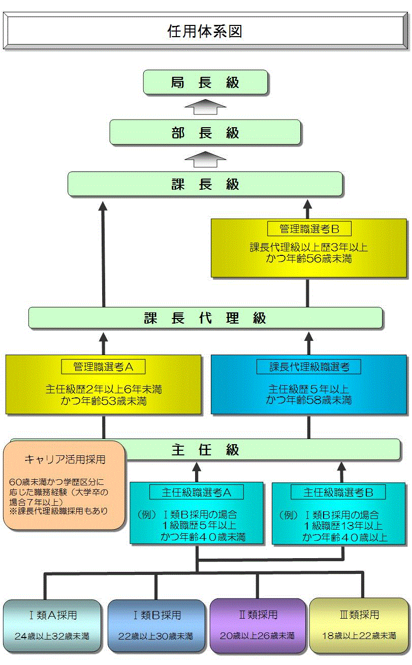都庁エリートの出世コース解剖！花形部署と昇任試験・年収のリアル
