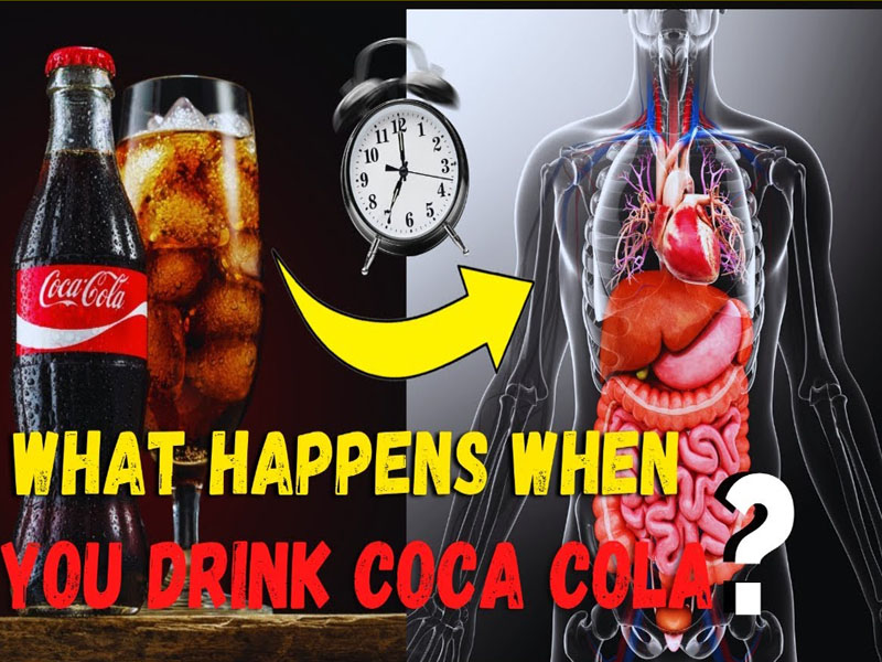 Why Does Coke Settle Your Stomach