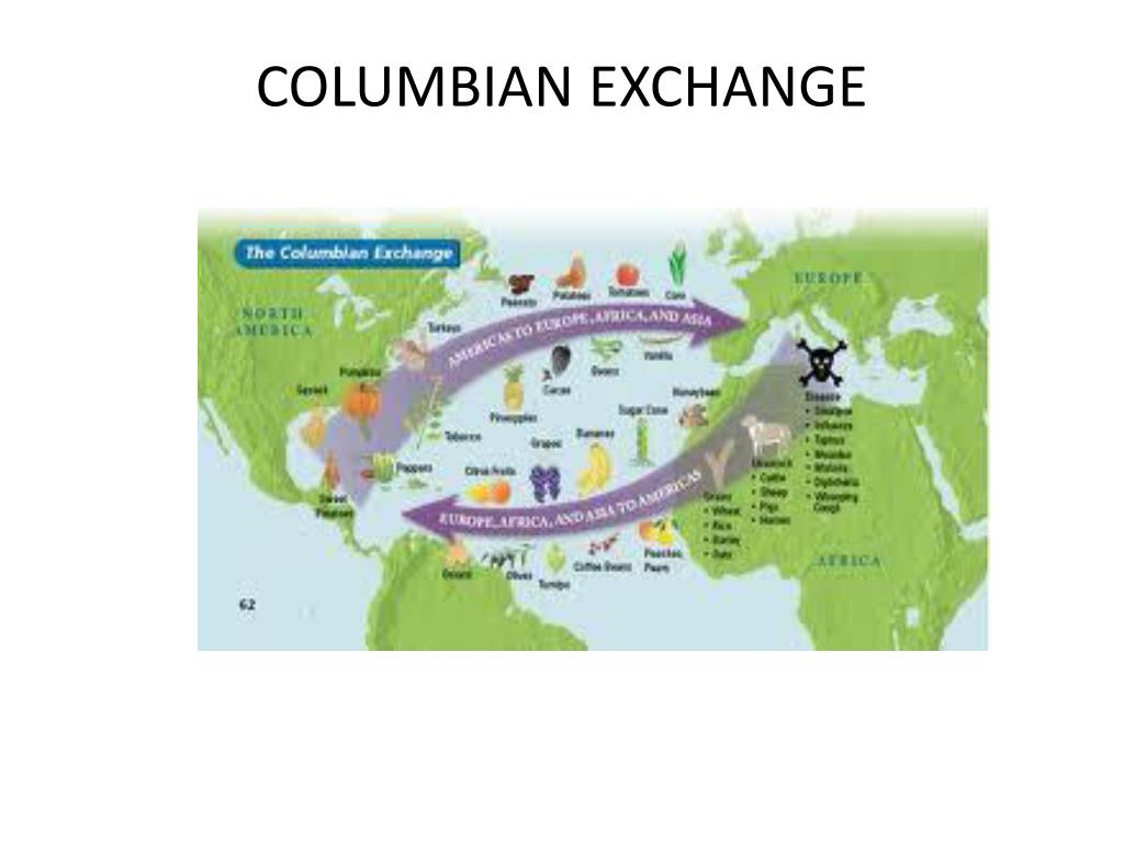 Describe the Long Term Effects of the Columbian Exchange