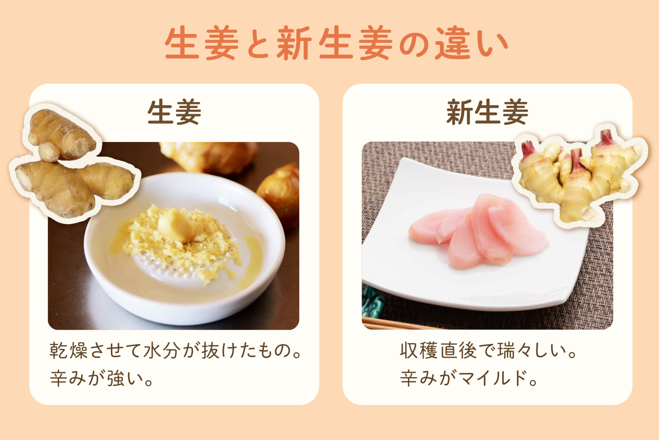 生姜と新生姜、栄養・辛み・保存法まで徹底比較【2026年最新】