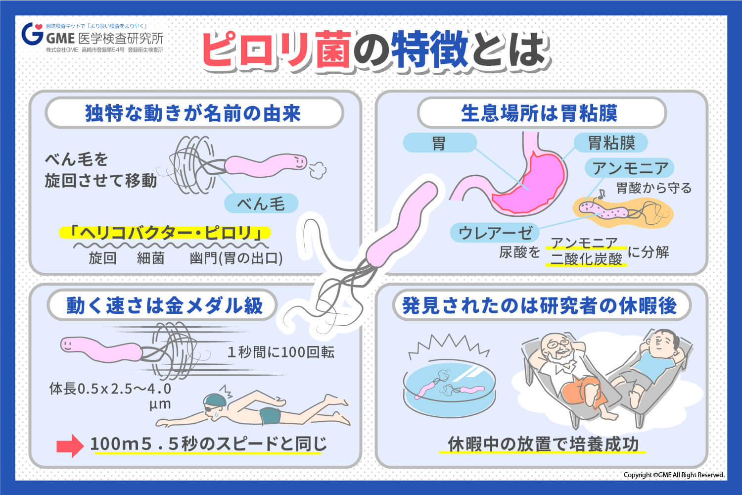 井戸水でピロリ菌に感染？胃がんリスクと煮沸・検査の真実を徹底解説