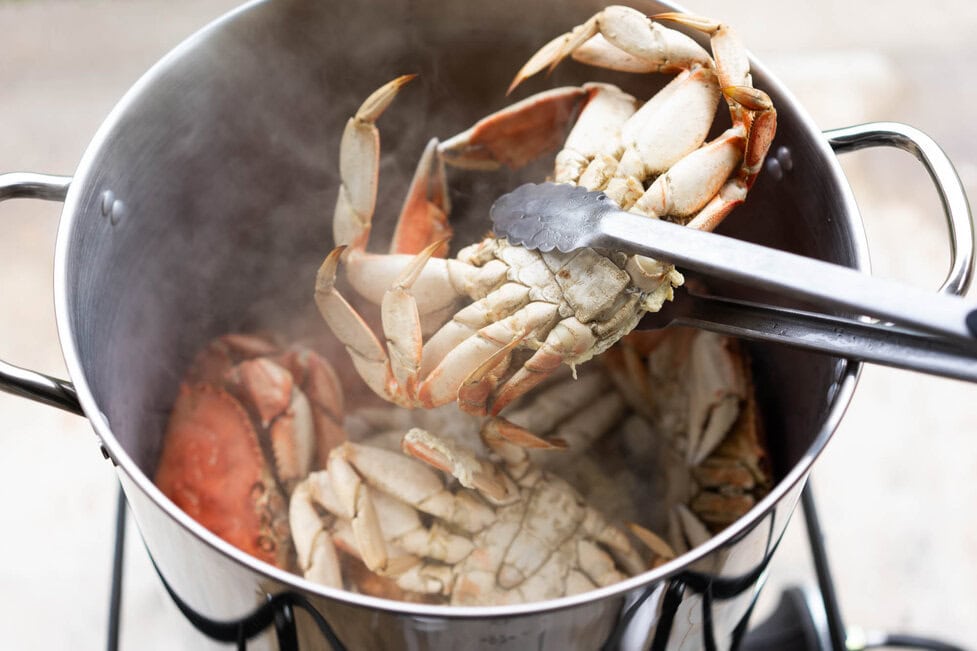 How to Cook Crabs on the Stove