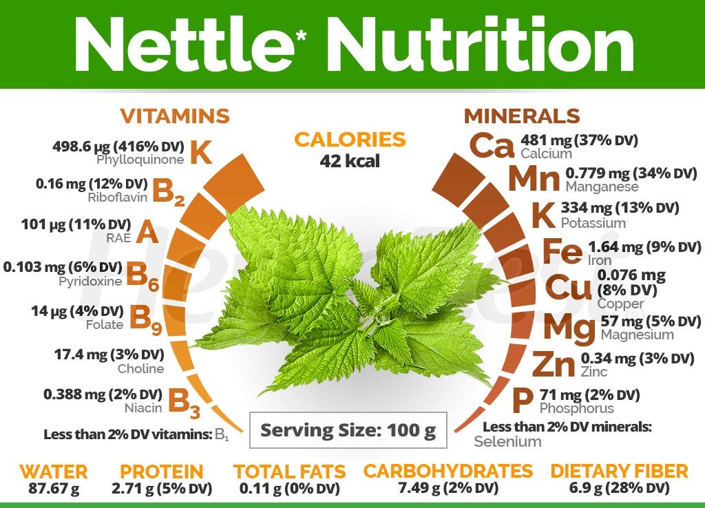 Does Nettle Tea Have Potassium