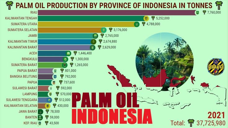 Indonesia and Palm Oil