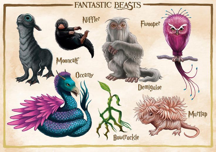Mythical Creatures and Where to Find Them