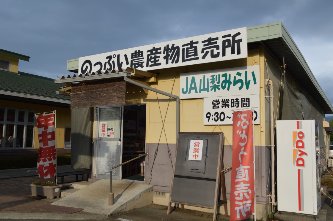 のっぷい農産物直売所の大行列の真相と朝採れ野菜争奪戦の完全攻略法