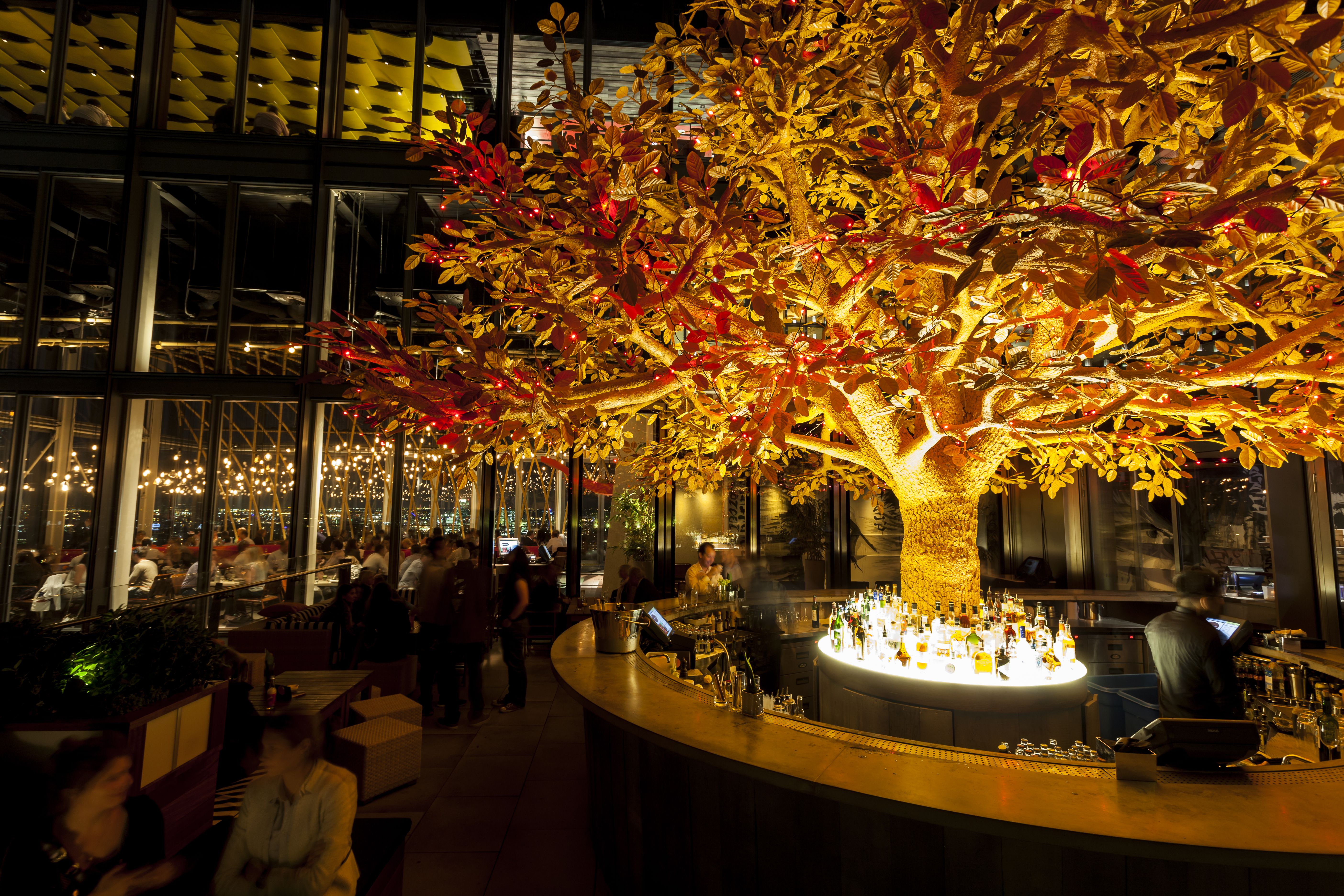 Pub in London with a Tree Inside