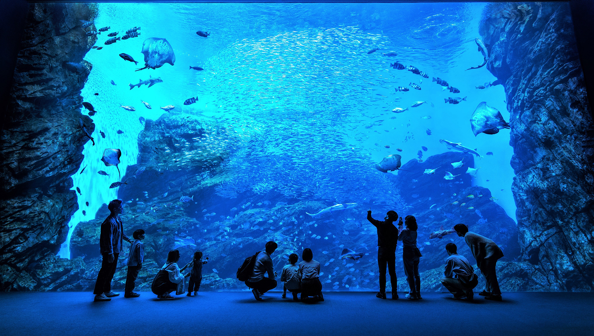 仙台うみの杜水族館の完全攻略｜見どころ・割引・混雑回避を徹底検証