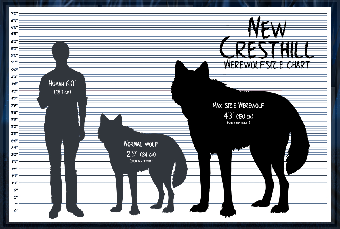 Size of Wolf Compared to Human