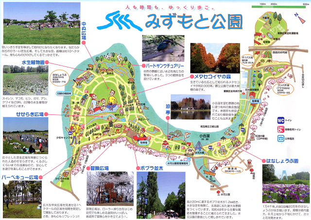 【2026年最新】都心に現れた「奇跡のオアシス」——水元公園が今、世界中のネイチャーラバーを熱狂させる理由