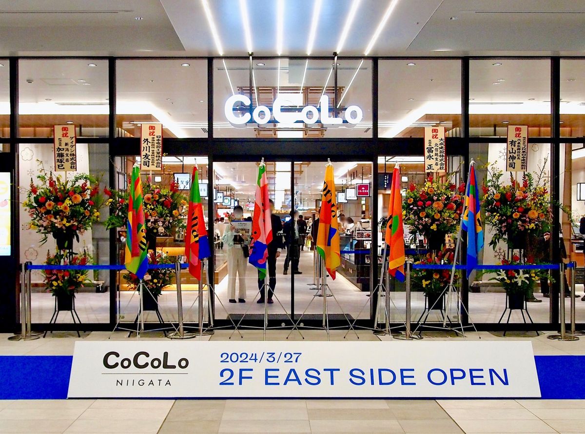 進化するCocolo新潟の現在地｜混雑回避と人気グルメ・駐車場攻略