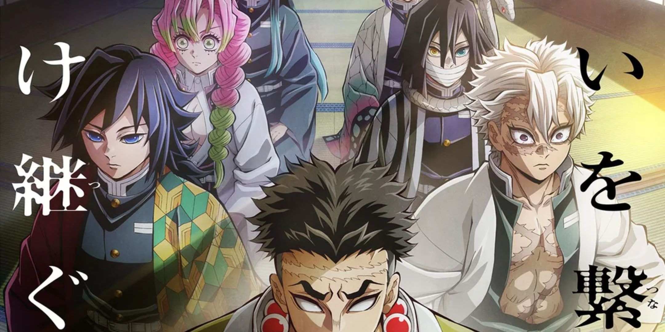 What Comes After the Hashira Training Arc