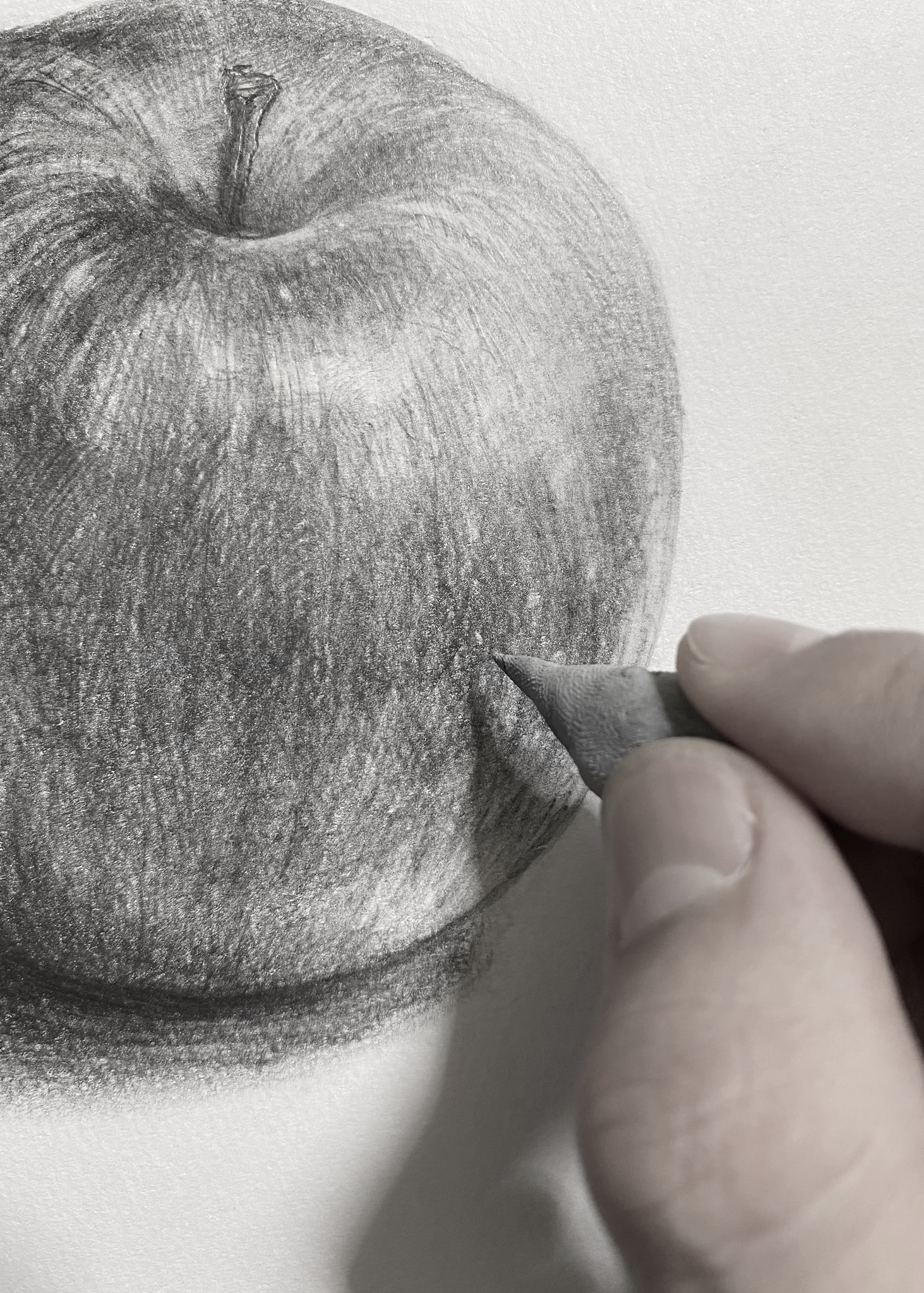 デッサンの描き方完全講義！独学でも立体感が劇的に変わるプロの技法