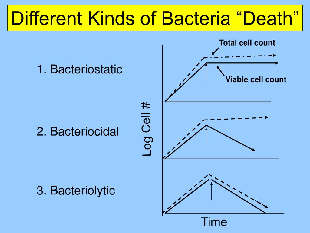 How Long Does It Take for Bacteria to Die