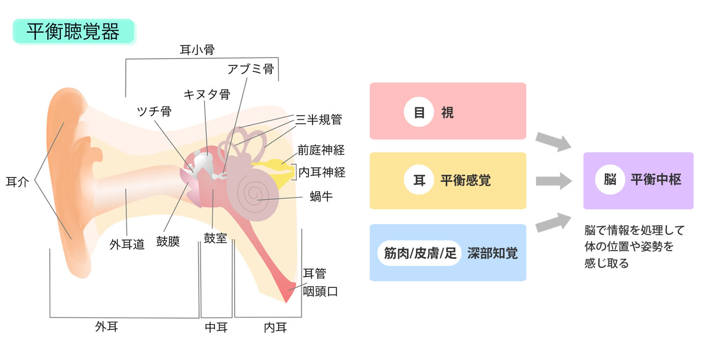 めまいは耳鼻咽喉科を受診すべき？脳神経外科との違いと受診目安