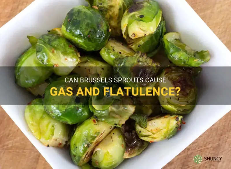 Does Sprouts Cause Gas