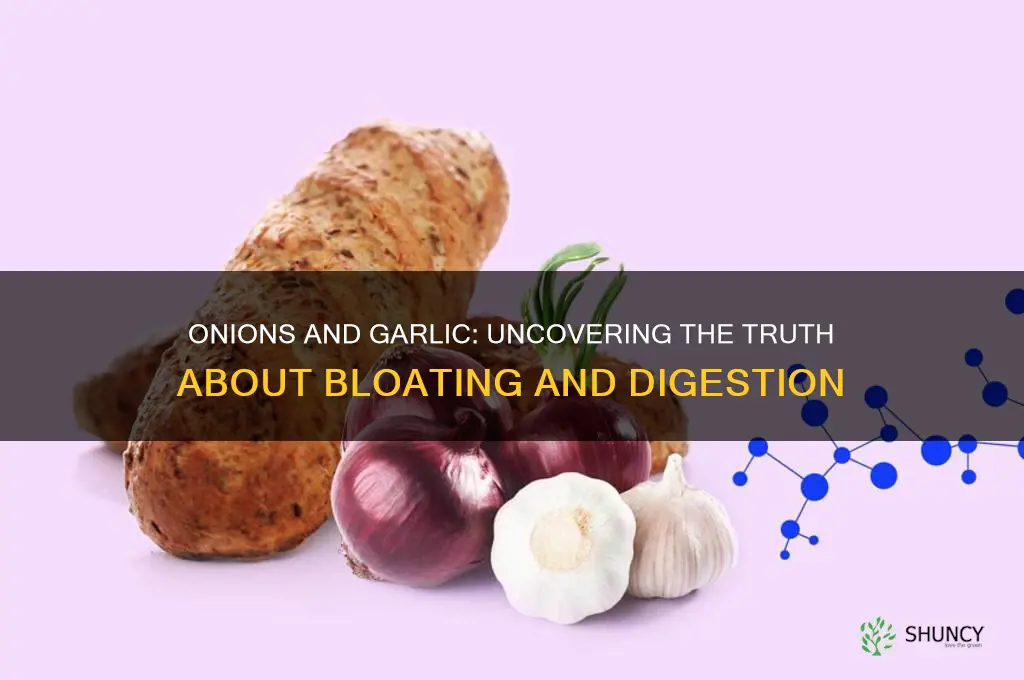 Do Onions Cause Gas Bloating