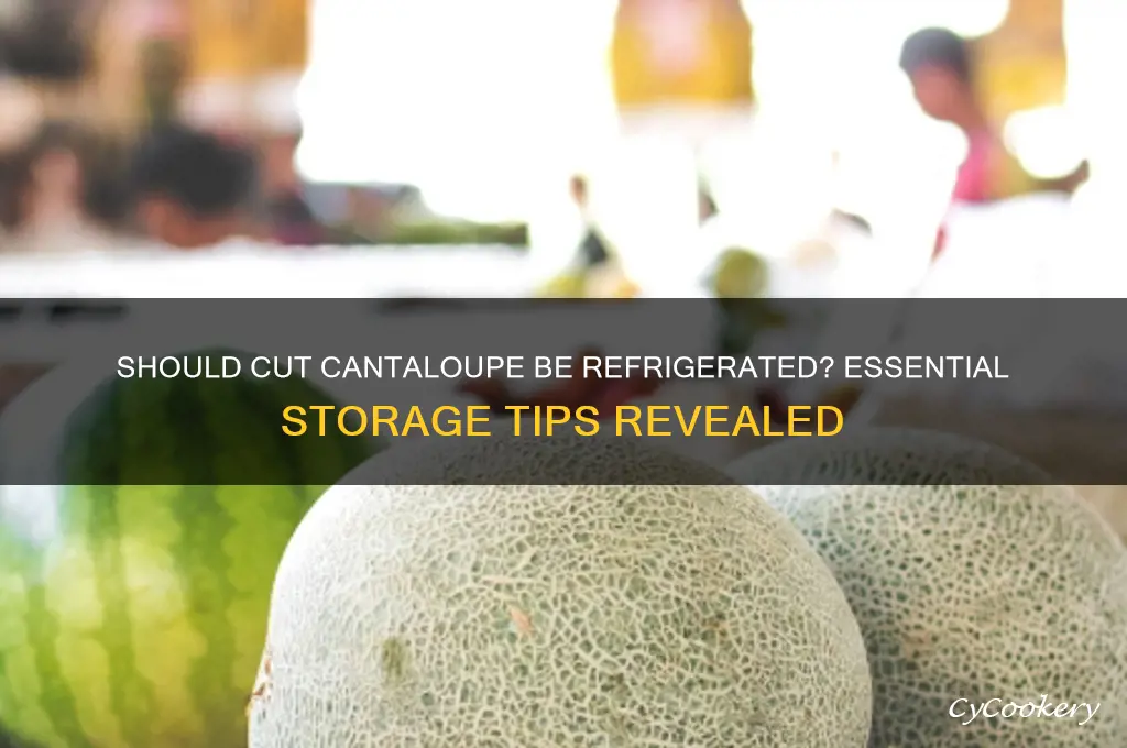 Do You Refrigerate Cantaloupe