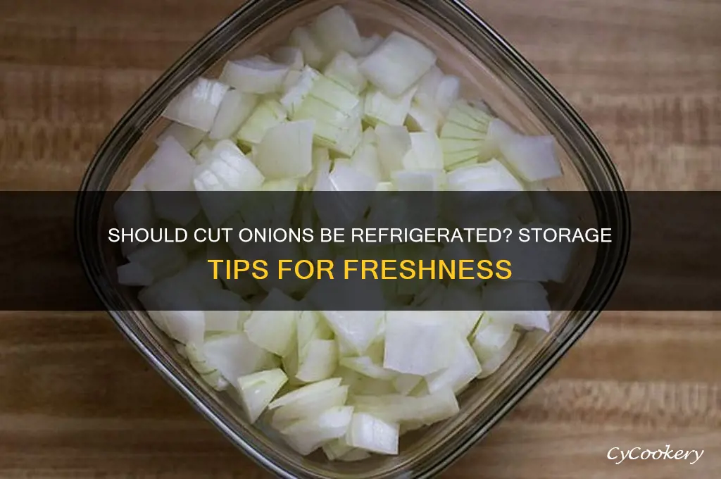 Should Cut Onions Be Refrigerated