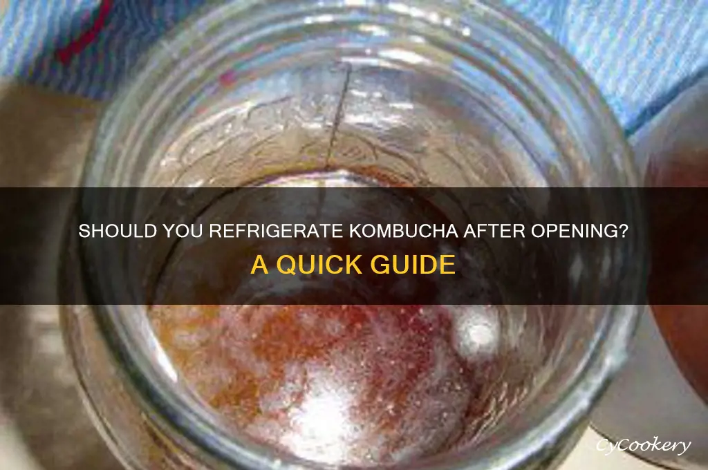 Do You Have to Refrigerate Kombucha