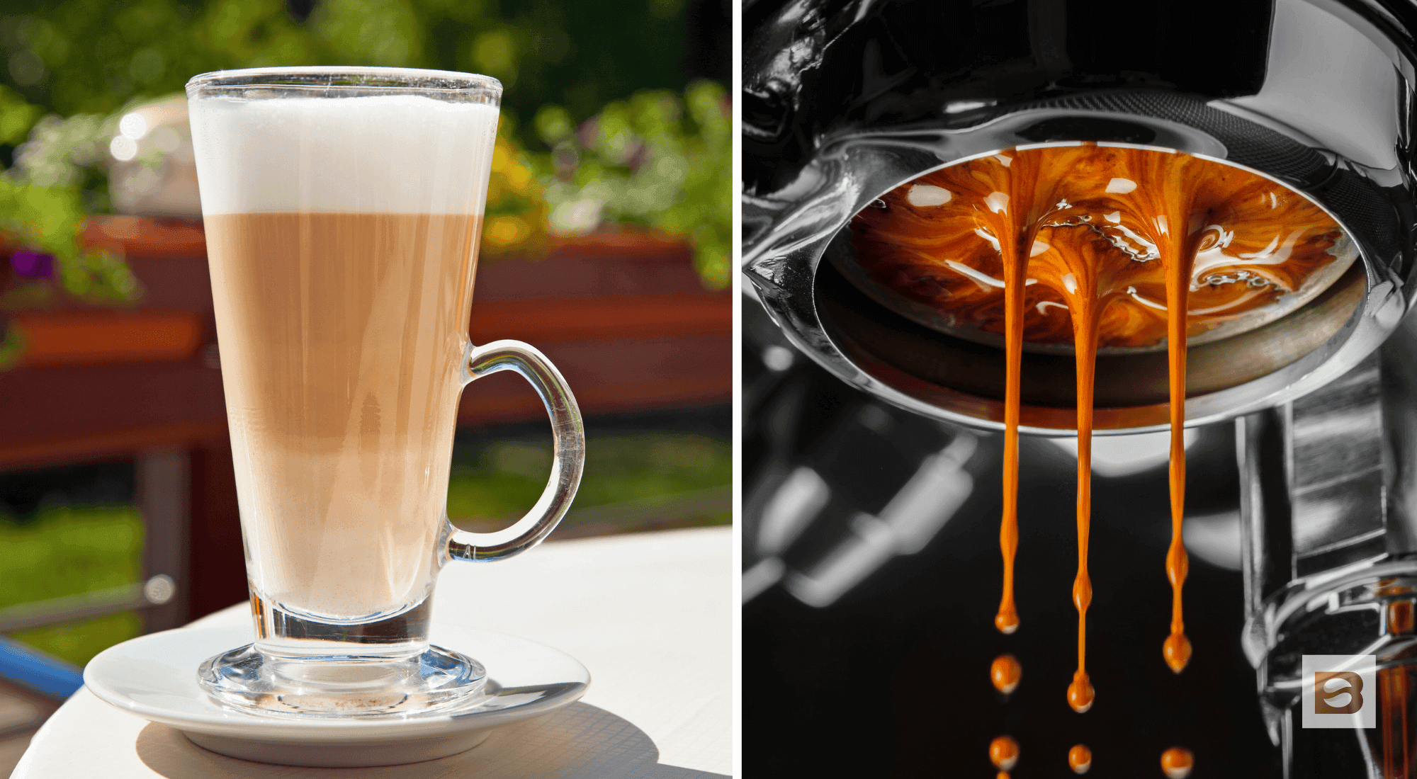 What Does a Latte Have