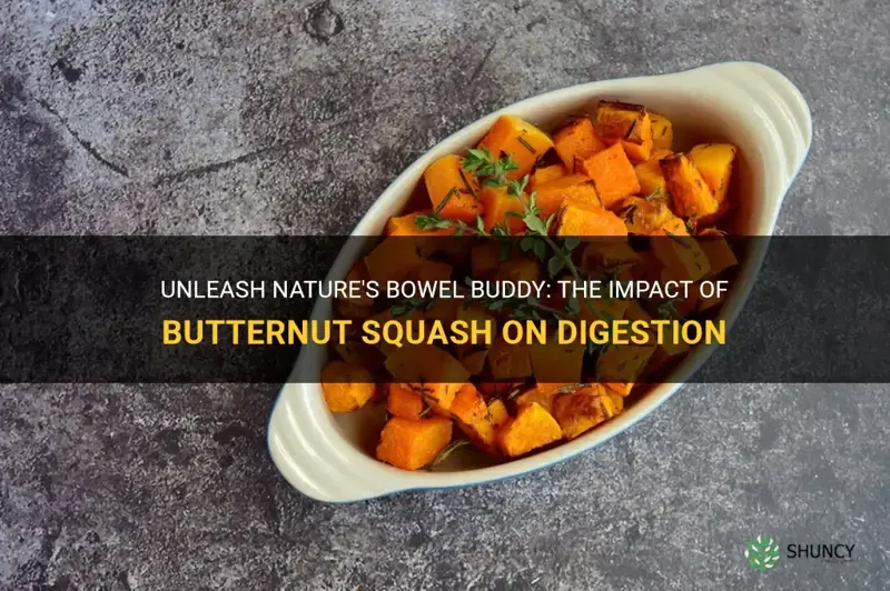 Does Squash Make You Poop