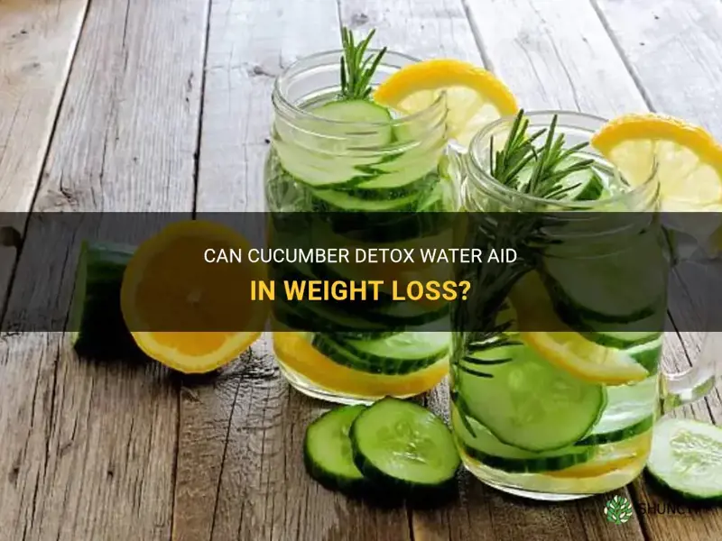 Does Cucumber Water Help with Weight Loss