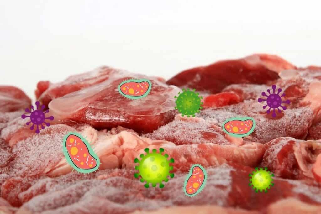 Will Cooking Meat Kill Bacteria