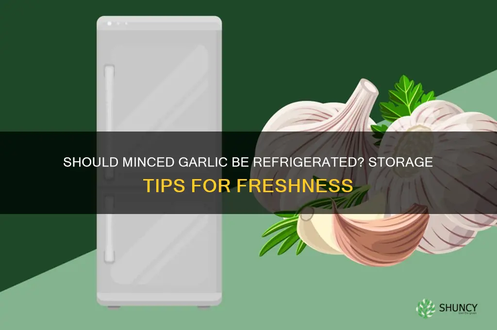 Should Minced Garlic Be Refrigerated