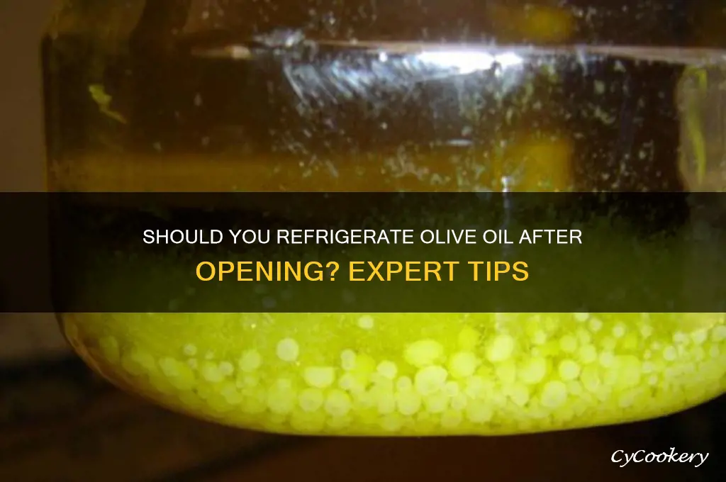 Should You Refrigerate Olive Oil