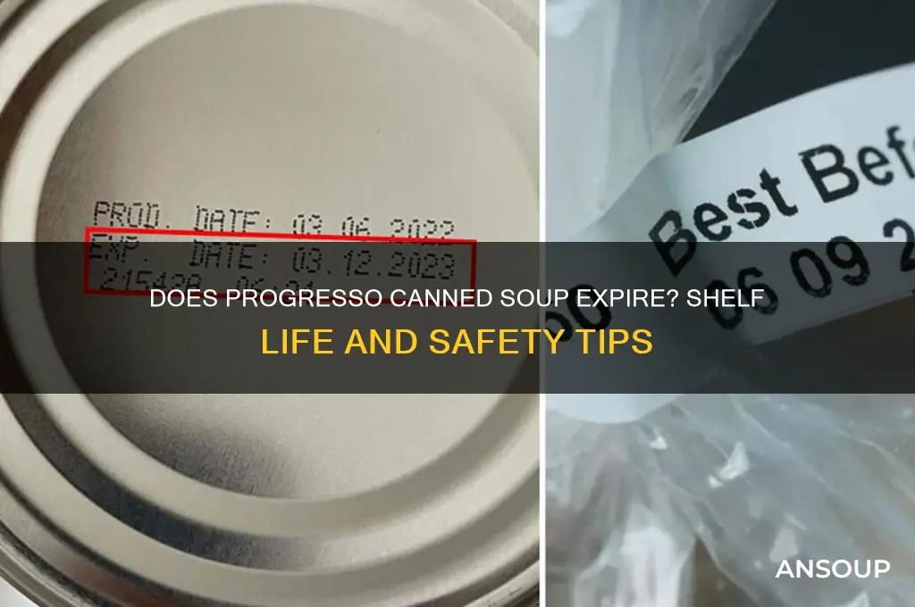 Does Canned Soup Expire