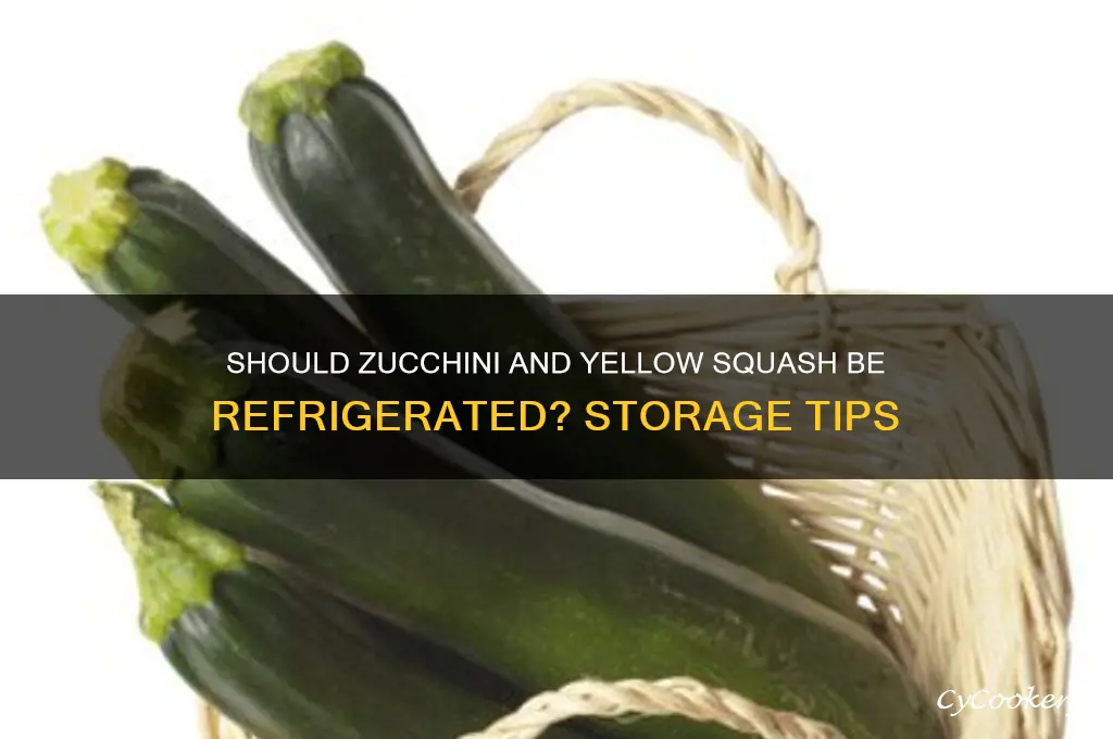 Should Summer Squash Be Refrigerated