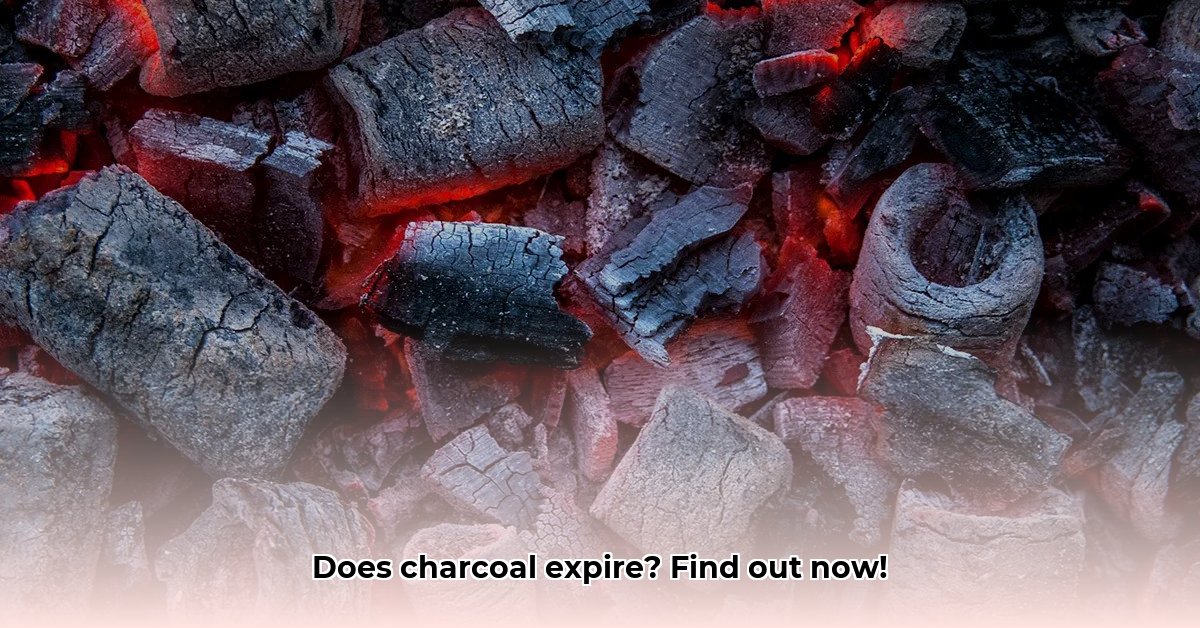 Does Charcoal Get Old