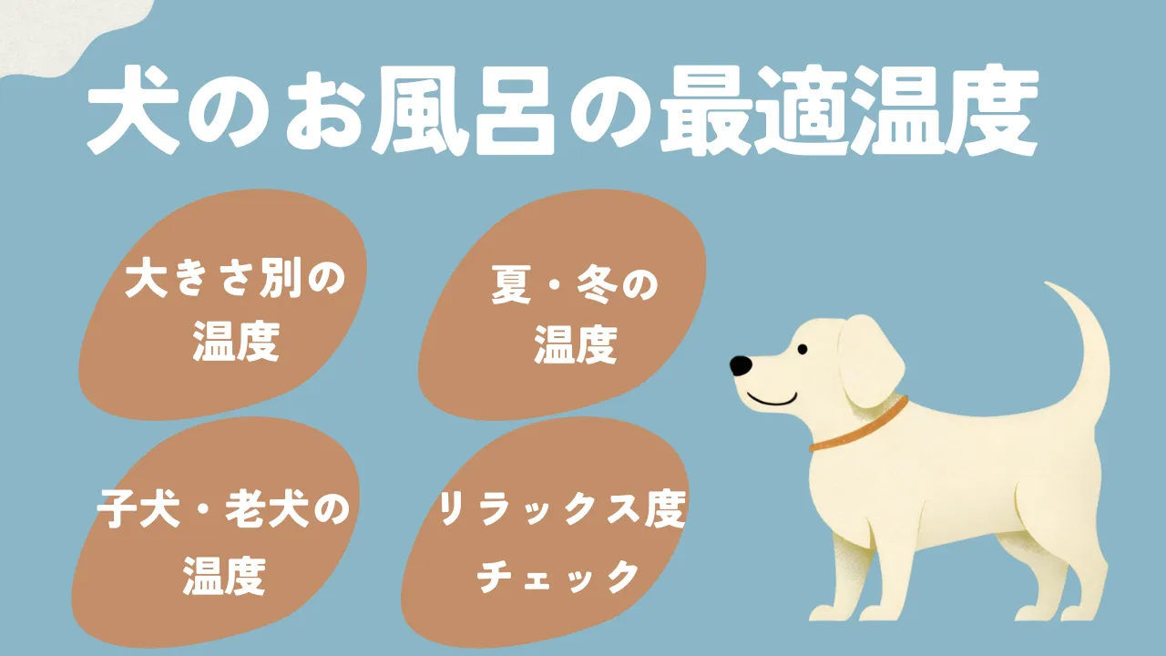 犬のお風呂は40度だと危険？愛犬を守る適正温度と正しい入れ方